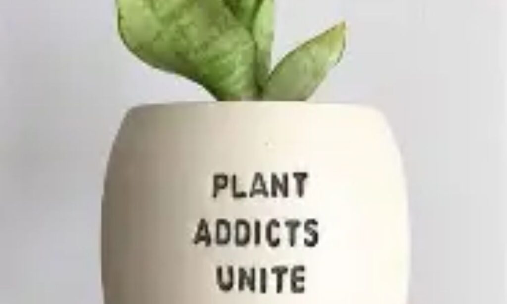 Funny Garden Blessings for Good Luck